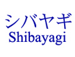 shibayagi(带日文）.jpg